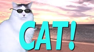 Happy Birthday Cat - Epic Cat Happy Birthday Song