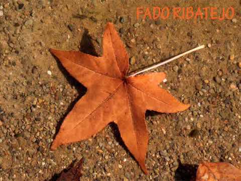 fado ribatejo