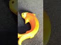 FISH#name#easy#viral#reels#cute#ff#facts#fyp#fun#funny#trend#shorts#craft#video#art#drawing#dit#ft#t