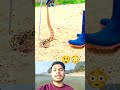 ভয়া*ন*ক সাপ #snake #amazing #viral #tranding #wow