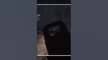 When You See Your First Deathclaw