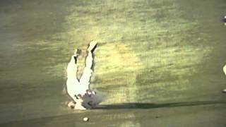 Steve Sax Hit In Chest With Pop Fly Los Angeles Dodgers Profile