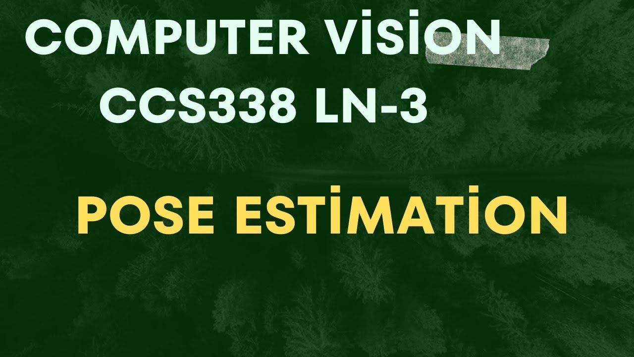 Pose Estimation Ln-3 computer vision ccs338 important question