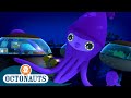 Octonauts Colossal Squid The Bowhead Whale Cartoons For Kids Underwater Sea Education 