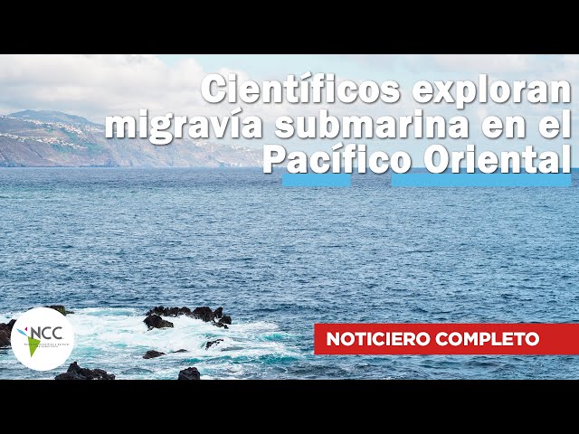 Científicos exploran migravía submarina en el Pacífico Oriental | 649 | 22 al 28 de abril de 2024