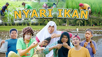 NYARIK IKAN DI SAWAH