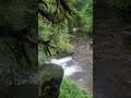 My First YouTube Video . الطبيعة في فانكوفر                 Nature in Vancouver