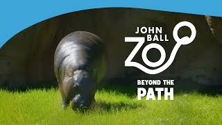 Beyond the Path | Supporting John Ball Zoo by John Ball Zoo 138 views 10 months ago 1 minute, 1 second