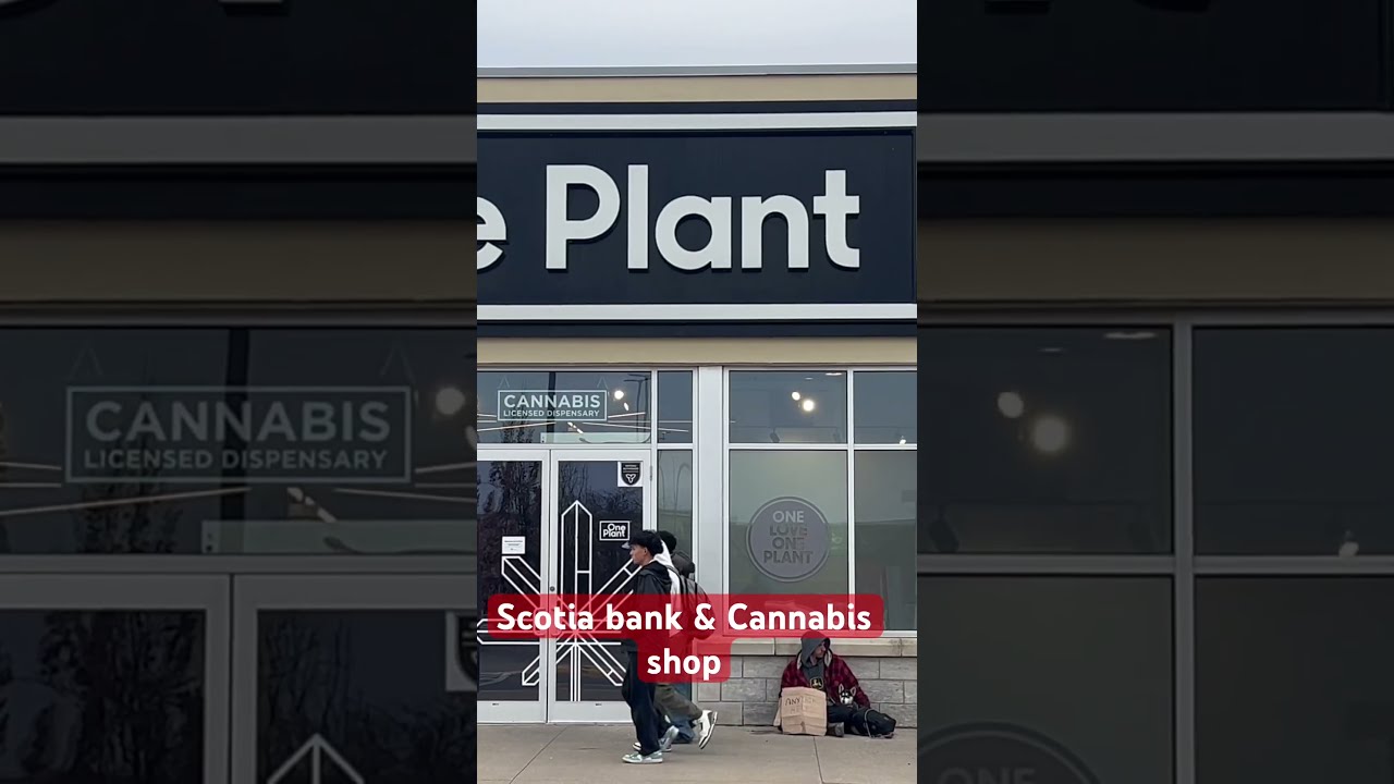 Scotia Bank Scotiabank Scotiabankarena Oneplanet Lcbo Lcboards Homeless Homelesslife