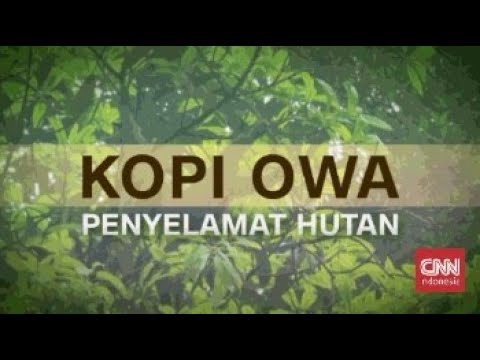 Video: Berapa curah hujan rata-rata di hutan boreal?