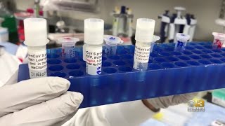 Johns Hopkins Experts Recommend Tiered System For Initial Coronavirus Vaccines