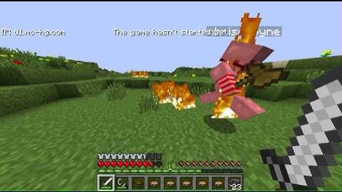 MCPVP Hunger-Games- Two Hackers