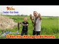 Rắn Luộc Cả Con - Tình Cờ Phát Hiện Ổ Rắn Siêu Khủng Tại Bờ Mương