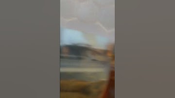 Jahe merah Gorontalo #jahebubuk #musimhujan #jahe #kunyit #jaheazwa