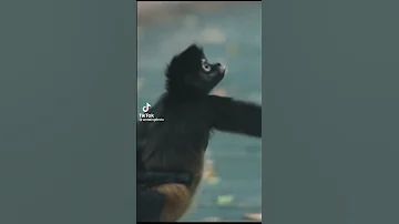 والنبي لتجيب جنيه ههههه 