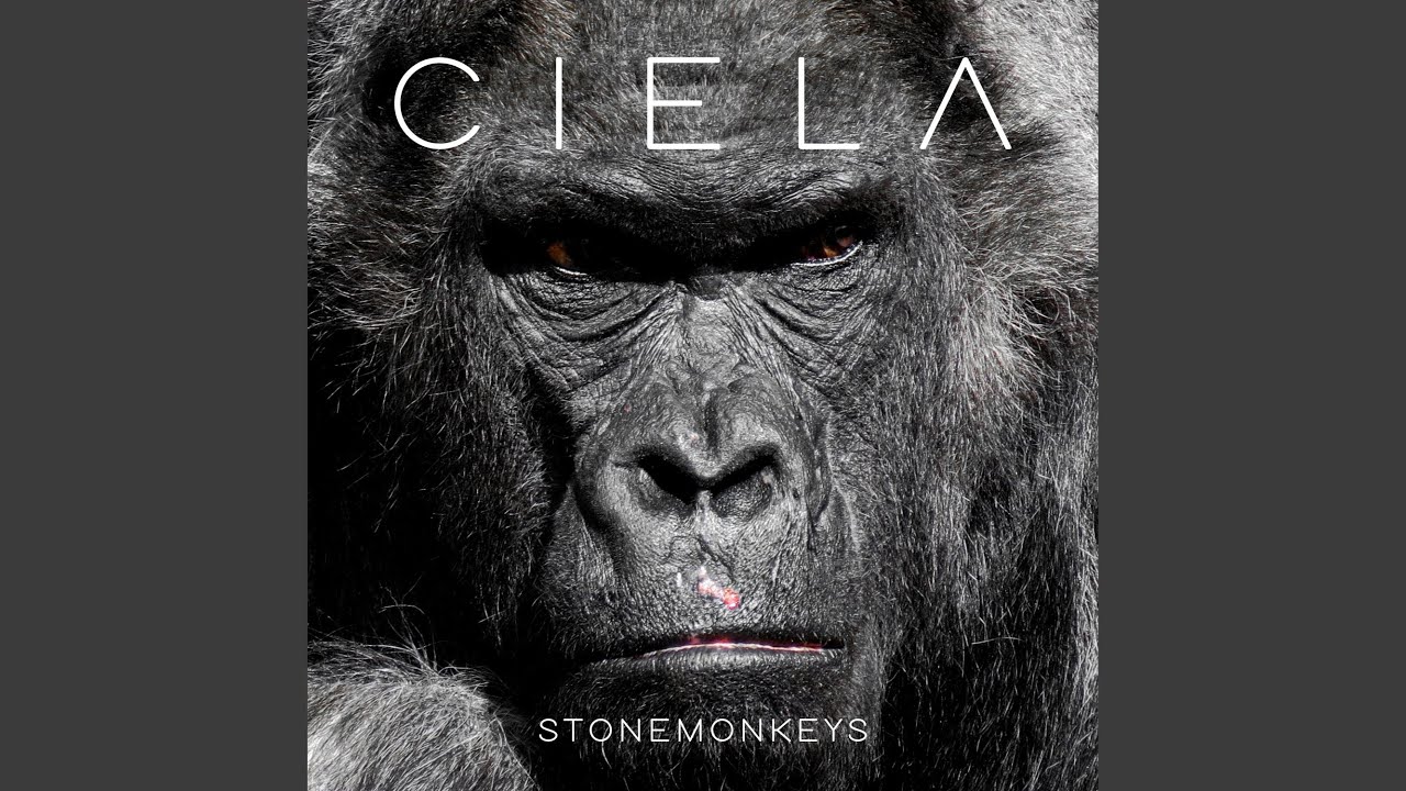 Watch Stonemonkeys on YouTube Watch Stonemonkeys on YouTube