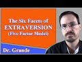 The Six Facets of Extraversion (Five Factor Model of Personality)