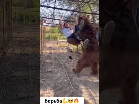Борьба между парнем и медведем💪😎🔥Не повторять такие трюки никогда мои друзья☝️