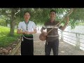 Ý Tươi sáng tác bai khắp sắt nhập bản mơi pi nong tỏn đe nơ
