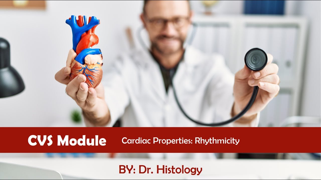 Physiology | Cardiac Properties {Rhythmicity} - YouTube