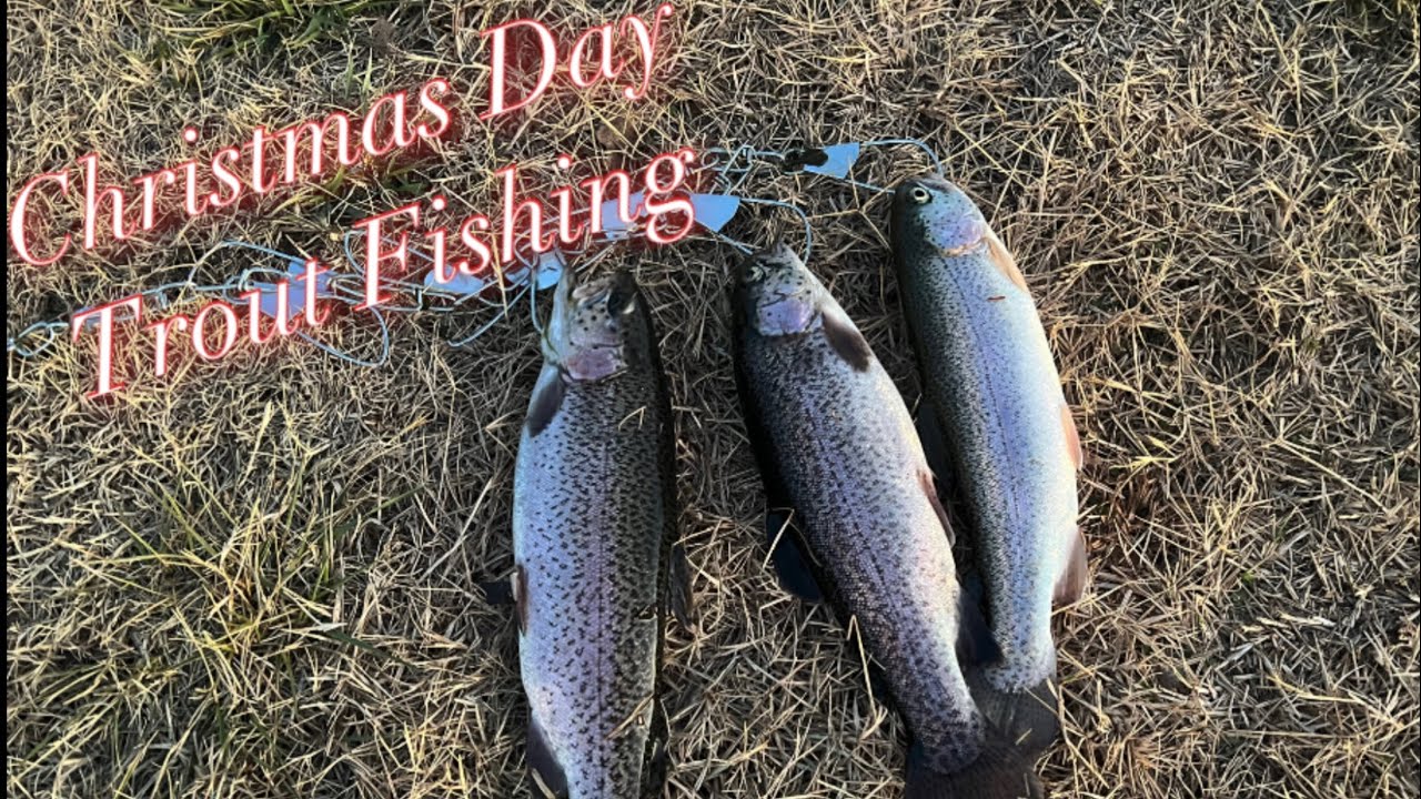 Fishing a Stocked Trout Pond on Christmas Day