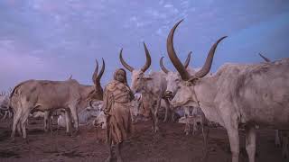 6.DJ R-KAY I Am An African