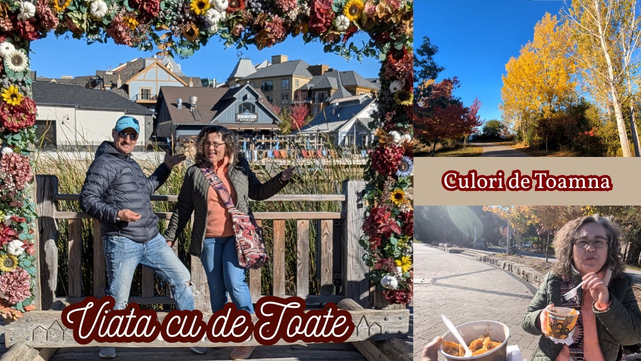 Plimbare de Octombrie (October Walk)