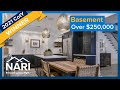 2021 NARI National CotY Award Winner: Basement Over $250,000