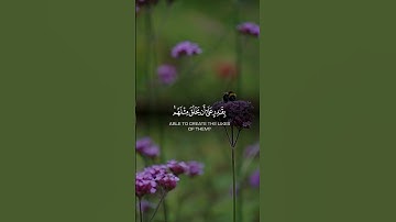 اجمل ماستسمع تلاوه رائعه ومؤثره #foryou #اكسبلور #لايك #ذواقه #العربية