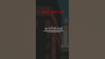 تلاوة القرآن الكريم بي صوت مميز #اكسبلور #المصحف #القرآن_الكريم