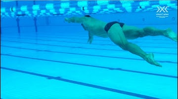 x-bionic® aquatic sphere at x-bionic® sphere I Šamorín I Slovakia