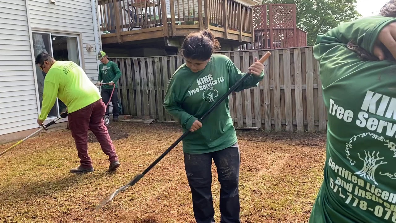 King Tree Services LLC YouTube