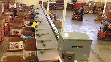 Amazing Fruit Processing Line   Watermelon, melon Sorting and Packing