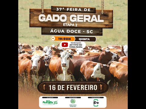 34ª FEIRA DO GADO GERAL PAINEL SC 