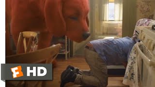 Clifford the Big Red Dog (2021) - Hiding Clifford Scene (3/10) | Movieclips