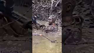 #love #army #movie #indianarmy #bollywood #viral