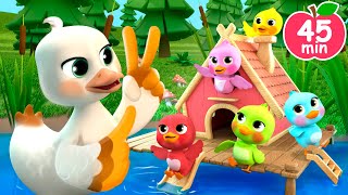 Download lagu Five Little Ducklings Song | Newborn Baby Songs & Nursery Rhymes