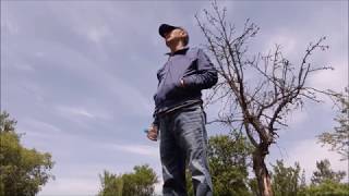 Baharda Kır Gezisi - Fer Film