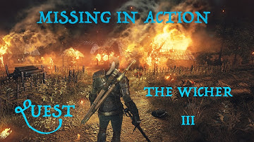 Witcher III - Missing in action + all options