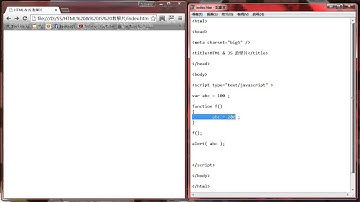[ HTML & JavaScript 粵語教學 ] 淺談 公用變數 與 私用變數