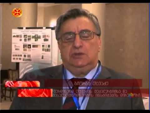 თბილისის საერთაშორისო კონფერენცია.flv