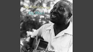 Watch Big Bill Broonzy Partnership Woman video