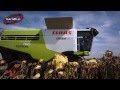 Комбайн Claas Lexion 760 - полева демонстрация край Видин