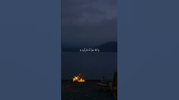 الحمدلله 🤍 #قرآن #quran #اكسبلور #explore #قران_كريم #سورة_النمل #جابر_القيطان