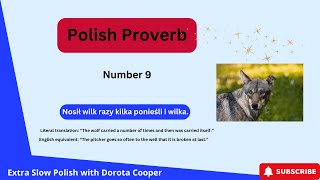 Uncover The Wisdom: Exploring Polish Proverbs with Explanation Part 9