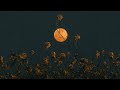Post-Rock Vibes Under the Moon 🌙