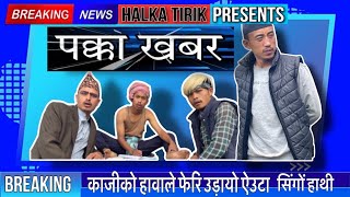 Pakka Khabar|| पक्का खबर|| Halka Tirik