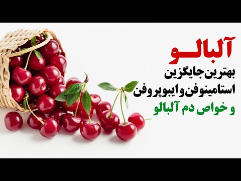 تصویری: آیا بابونه هویج می خورند؟