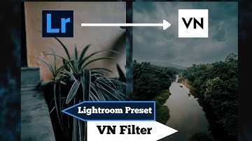 How to Convert Lightroom Presets Into VN Luts For Editing