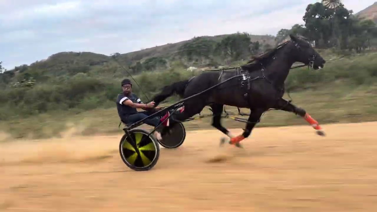 1º Ok Vitorio 2.06.43; 2º Black Euforico 2.06,81